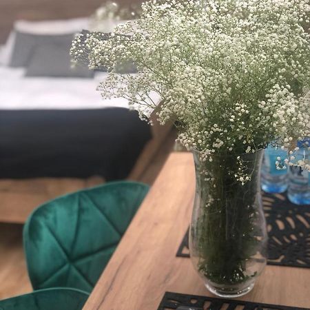 Hostel Suchedniów Dış mekan fotoğraf